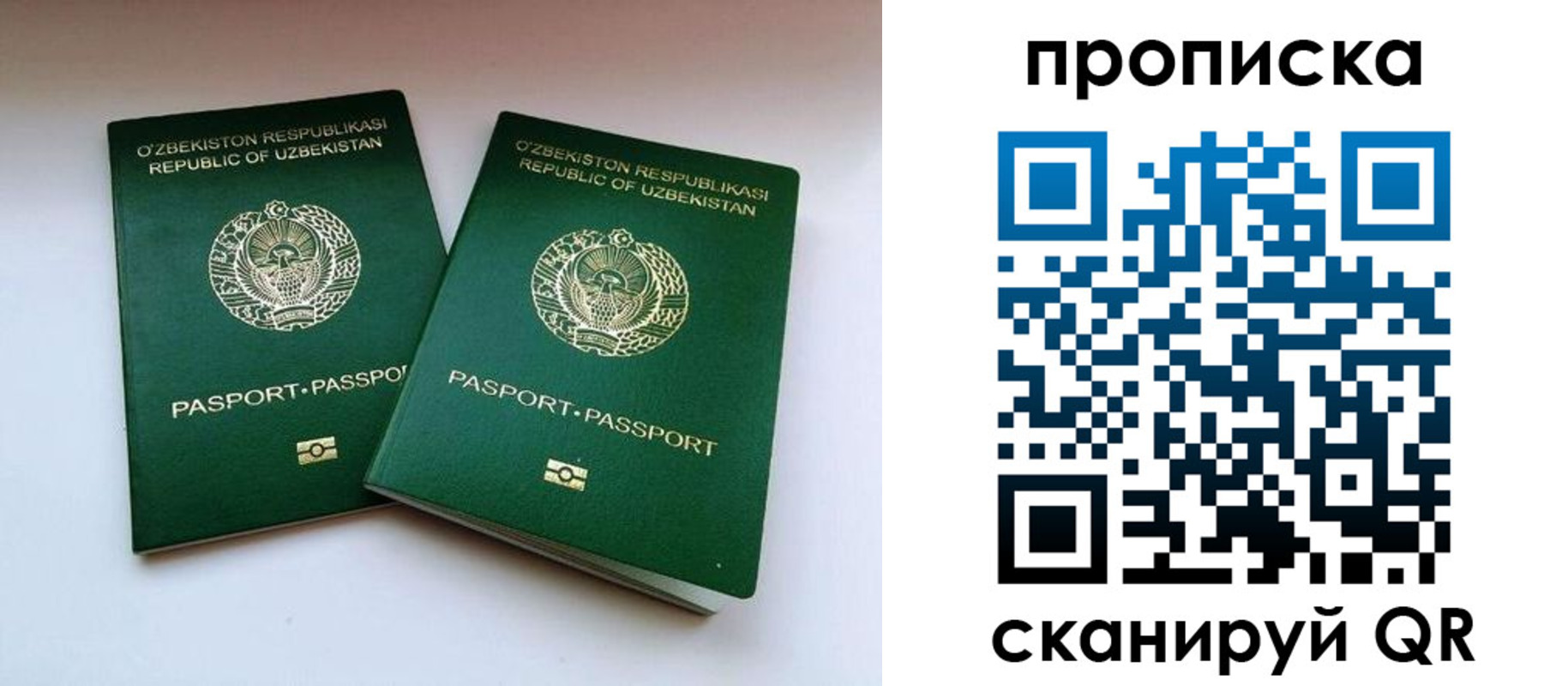 прописка поиск в Алтае